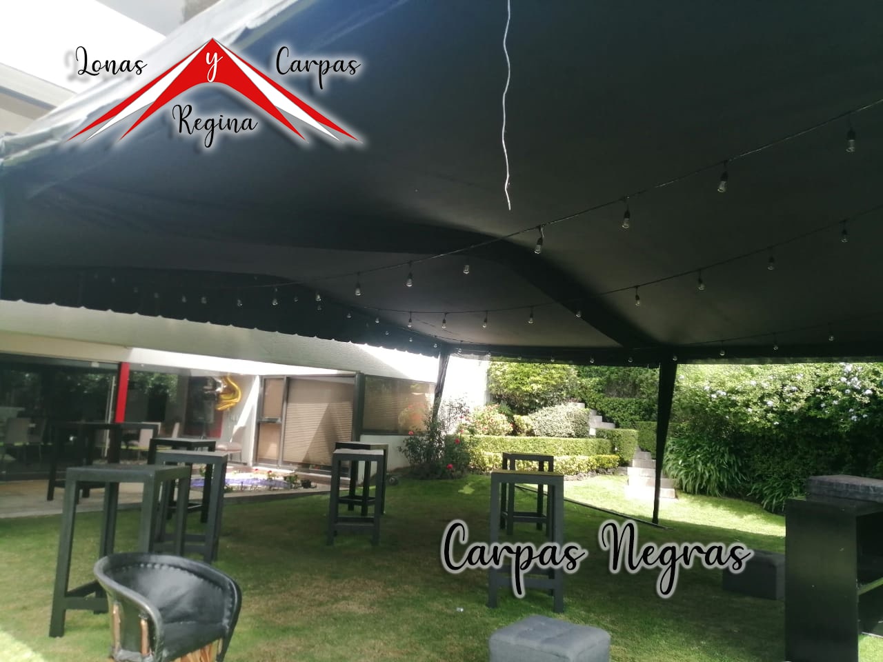 Carpa negra iluminada